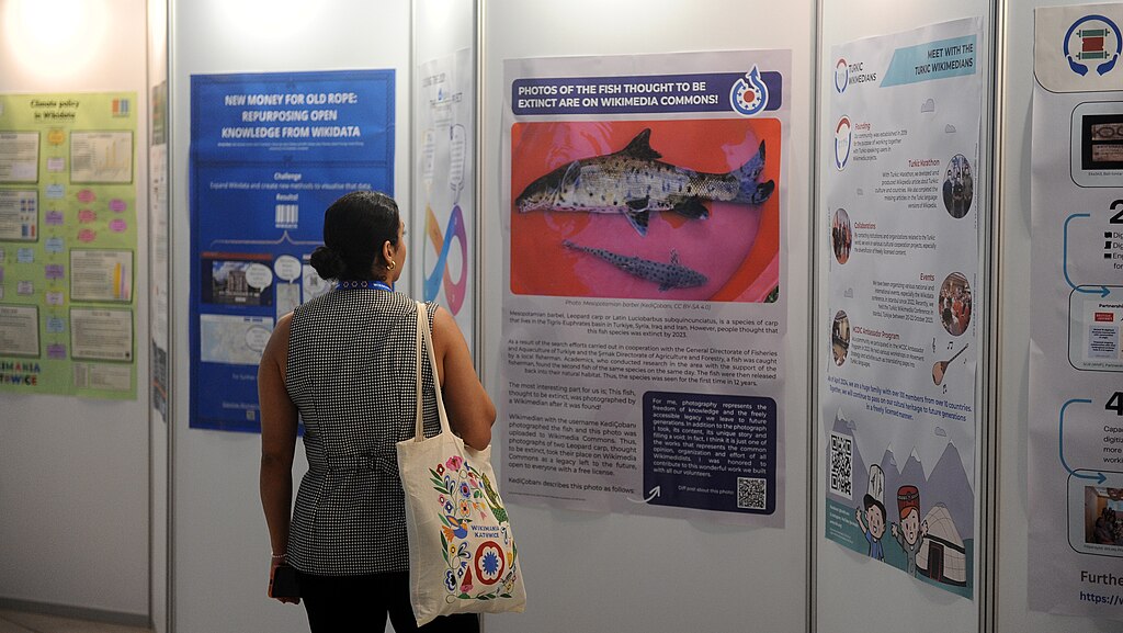 Besucherin betrachtet Poster-Session auf der Wikimania 2024.