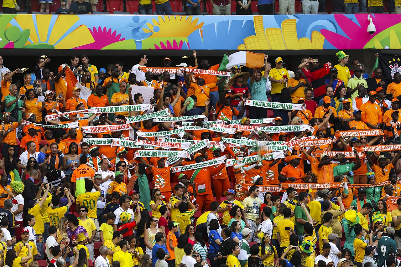 Fussballfans Elfenbeinküste