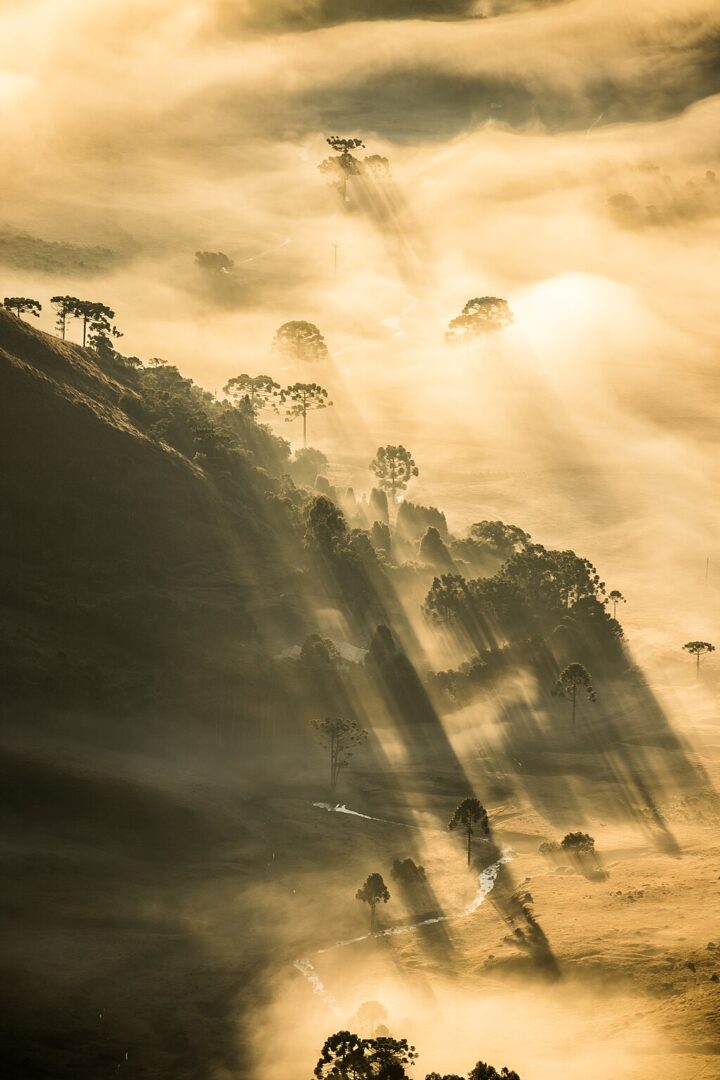 Morgendämmerung in einem Tal mit Licht durch Bäume und einem Fluss, der sich durch die Berge schlängelt.