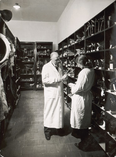 Das schwarz-weißt Foto zeigt den jüdischen Zoologen Israel Aharoni in weißem Laborkittel. Er steht vor einem Regal mit Präparaten und hält einen Schädel in der Hand. Neben ihm, ebenfalls im weißen Laborkittel, ist seine Tochter und Assistentin Bat-Sheva zu sehen. Gemeinsam stehen sie in den Gängen der zoologischen Sammlung der Hebräischen Universität Jerusalem. Aufgenommen wurde das Foto vor 1947.
