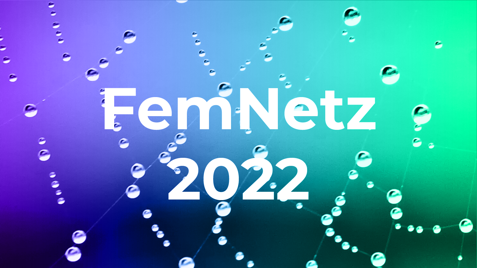 FemNetz 2022