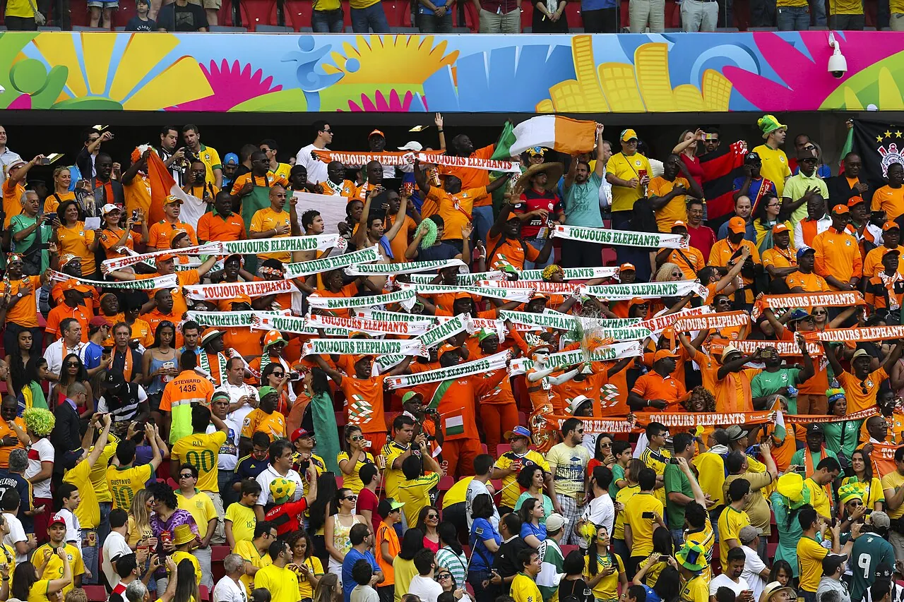 Fussballfans Elfenbeinküste