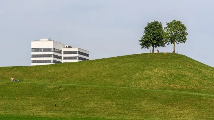Zwei Bäume auf einem grünen Hügel, im Hintergrund ein weißes Hochhaus.