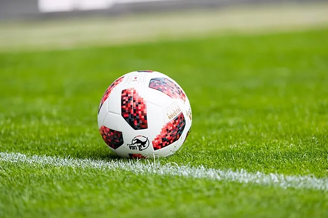 Die meistgelesenen Wikipedia-Artikel 2024: Platz 2