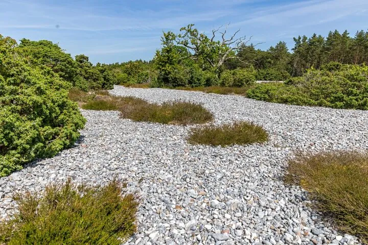 Feuersteinfelder auf der Insel Rügen